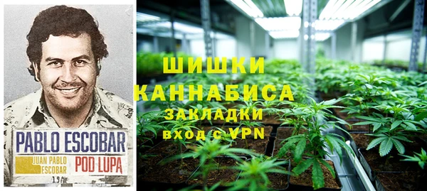 твердый Алзамай