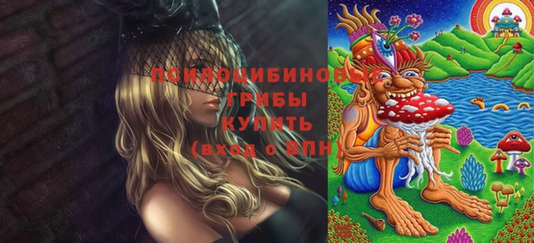 твердый Алзамай