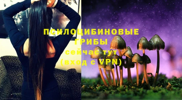 твердый Алзамай