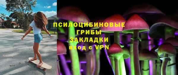 МДПВ Алексин