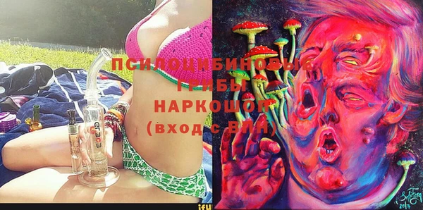 МДПВ Алексин